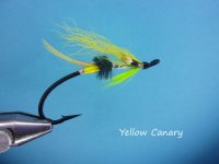 Yellow Canary.jpg