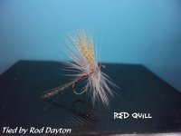 Red Quill plate.jpg
