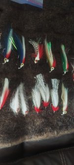 20240512_125048.jpg