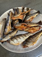 IMG_1984.jpeg