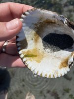 IMG_0511.jpeg