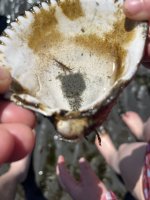 IMG_0507.jpeg