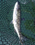 IMG_7566.jpeg IMG_7566.jpeg
