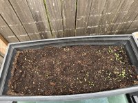 IMG_7586.jpeg