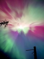 IMG_7130.jpeg