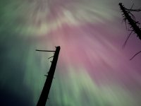 IMG_7101.jpeg
