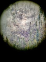 IMG_7022.jpeg