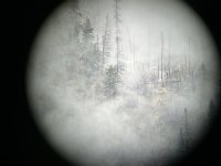 IMG_7021.jpeg