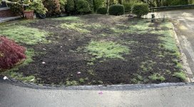 IMG_7590.jpeg