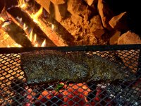 IMG_3035.jpeg