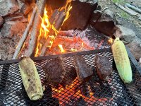 IMG_3065.jpeg