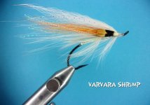 Varvara Shrimp.jpg