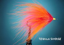 Tequila Sunrise.jpg