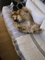 IMG_4151.jpeg IMG_4151.jpeg