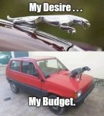 IMG_7597.jpeg