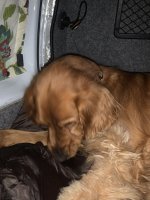 IMG_2724.jpeg IMG_2724.jpeg