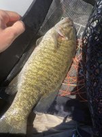 IMG_8805.JPG
