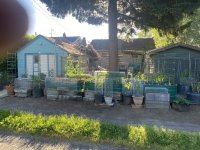 IMG_5595.jpeg