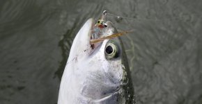 IMG_7658.jpeg
