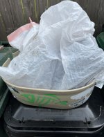 IMG_7665.jpeg