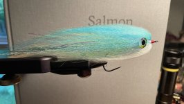 IMG_3315.jpeg