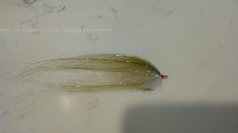 IMG_20240519_081942184.jpg