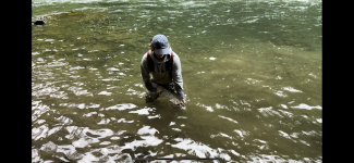 IMG_6825.png IMG_6825.png