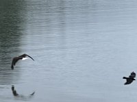 IMG_7679.jpeg
