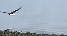 IMG_7678.jpeg