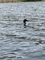 IMG_3900.jpg