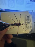 IMG_0826.jpeg