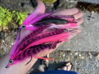 IMG_0535.jpeg