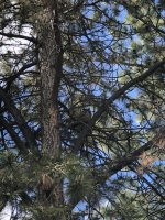 IMG_7364.jpeg
