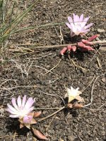 IMG_7313.jpeg