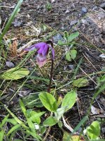 IMG_7289.jpeg