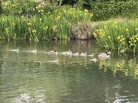 IMG_3314.jpeg