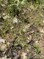 IMG_3319.jpeg