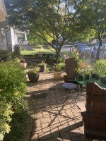 IMG_5613.jpeg