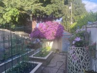 IMG_5610.jpeg