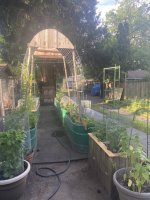 IMG_5612.jpeg