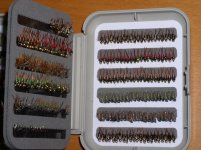 flys039.jpg