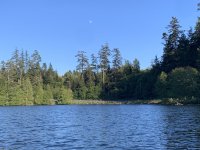 IMG_1234.jpeg