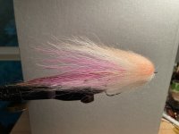 IMG_3326.jpeg