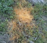IMG_7814.jpeg