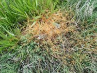 IMG_7815.jpeg