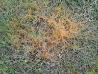 IMG_7816.jpeg