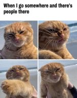 FB_IMG_1716592181551.jpg