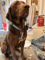 IMG_1971.jpeg