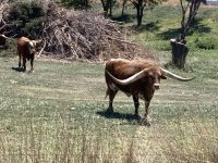 IMG_5658.jpeg