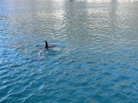 IMG_1378.jpeg IMG_1378.jpeg